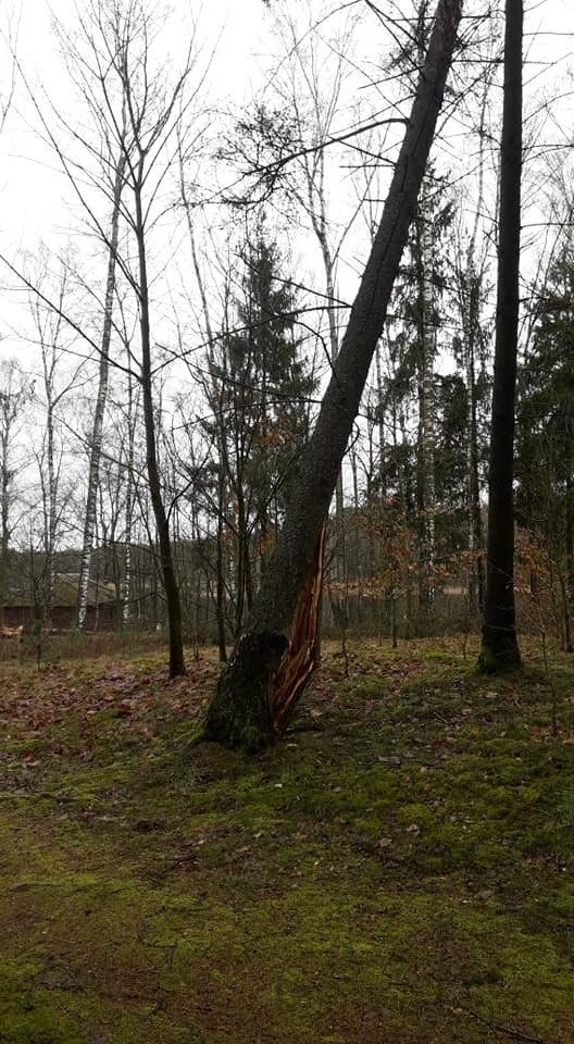 Od kilku dni w naszym regionie mocno wieje. Strażacy z OSP w...