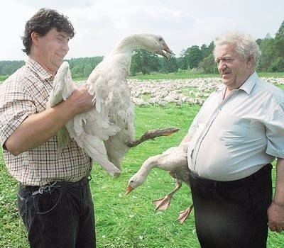 Dla Sebastiana Skrzypczaka (z lewej) i jego ojca Zdzisława hodowla gęsi to cały świat