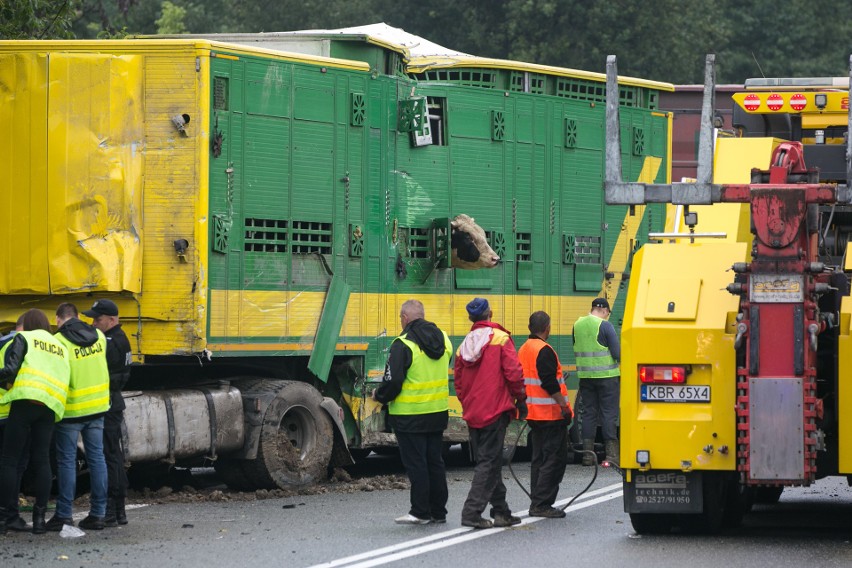 Wypadek w Bochni na DK 94. Nie żyją dwie osoby [ZDJĘCIA, WIDEO]