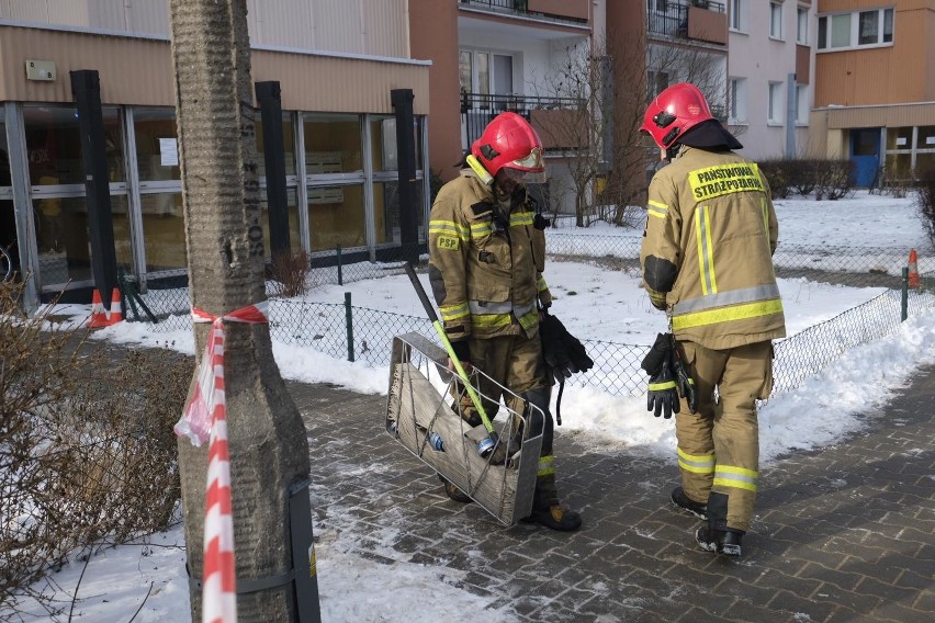 W czterech innych stwierdzono znaczne straty, spowodowane...