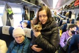 Do Katowic przyjechali kolejni uchodźcy z Ukrainy. Zmęczenie, niepewność, ale i wielka nadzieja. Zobaczcie zdjęcia Arka Goli