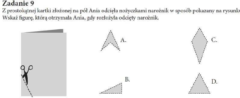 Wyobraźnia geometryczna...