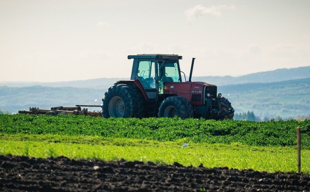 Najtańsze używane traktory w regionie radomskim. Zobacz zdjęcia i oferty do  100 tysięcy złotych | Echo Dnia Radomskie