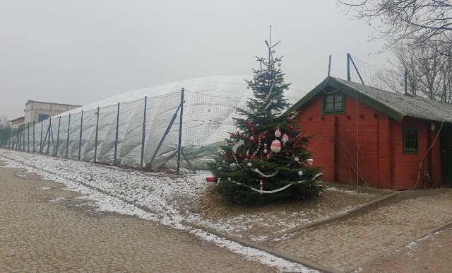 Pierwszy trening ŁKS odbył się na boisku pod balonem w ośrodku Akademii ŁKS