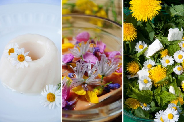 Kwiaty jadalne to składnik wielu aromatycznych dań. Można zrobić z nich rumiankową panna cotte, wiosenną sałatkę lub sos tysiąca kwiatów. Kliknij w obrazek, aby zobaczyć zdjęcia dań.