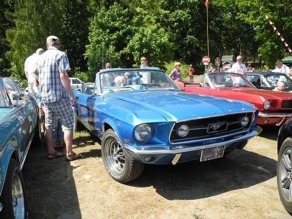 Kilkadziesiąt fordów mustangów zobaczymy w sobotę w Ustce podczas zlotu tych samochodów.