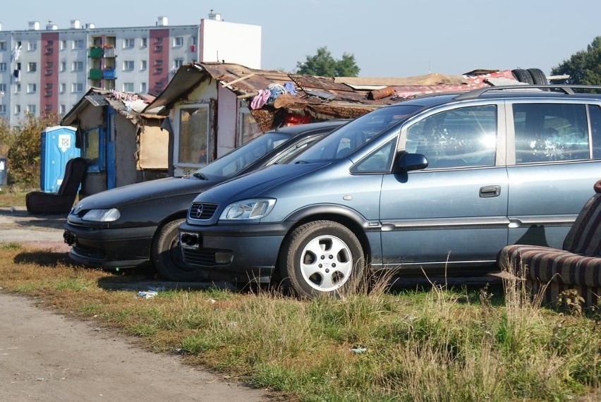 Wycinają drzewa, zakopują śmieci - koczowisko Romów okiem Czytelnika (ZDJĘCIA)