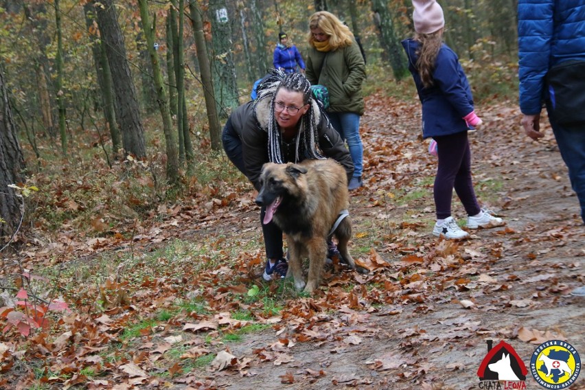 Kluczborskie spacerowanie z psami.