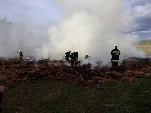Wczoraj (3 maja) w miejscowości Retowo nad jeziorem Gardno (gmina Smołdzino) strażacy walczyli z pożarem stogu siana. Słoma paliła się na polu, ale w pobliżu terenu zadrzewionego. Akcję gaśniczą prowadzili strażacy z OSP Gardna Wielka.