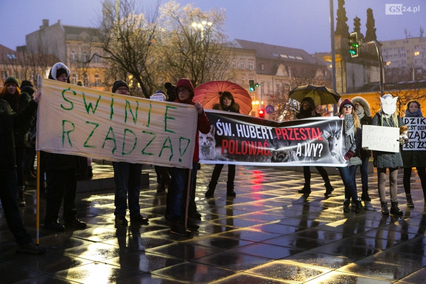 Szczecinianie protestują przeciw odstrzałowi dzików. "To barbarzyńskie rozporządzenie!" [ZDJĘCIA, WIDEO]