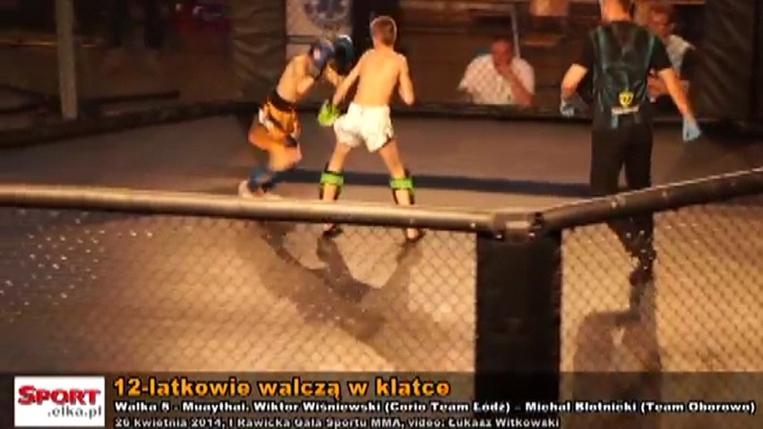 MMA w Rawiczu: Brutalne walki 12-latków w klatce
