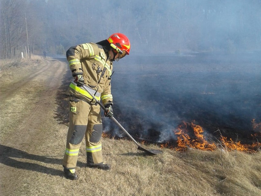 W marcu strażacy z powiatu żarskiego 64 razy wyjeżdżali do...