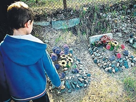 Dziś nielegalny cmentarz dla pupili działa w okolicy ul. Dąbskiej na prawobrzeżu