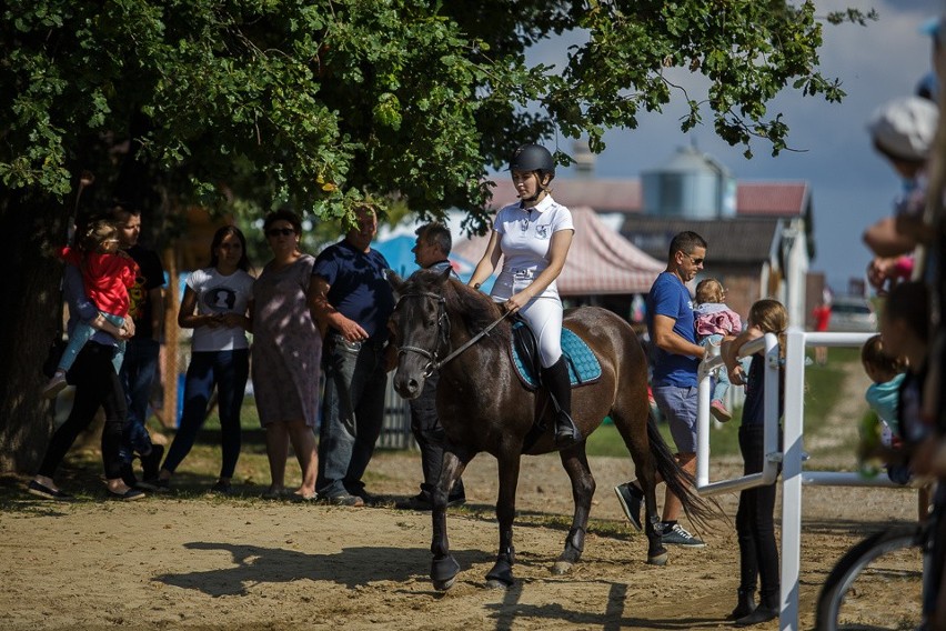 Skrzyszów. II Zawody Towarzyskie w skokach przez przeszkody [ZDJĘCIA]