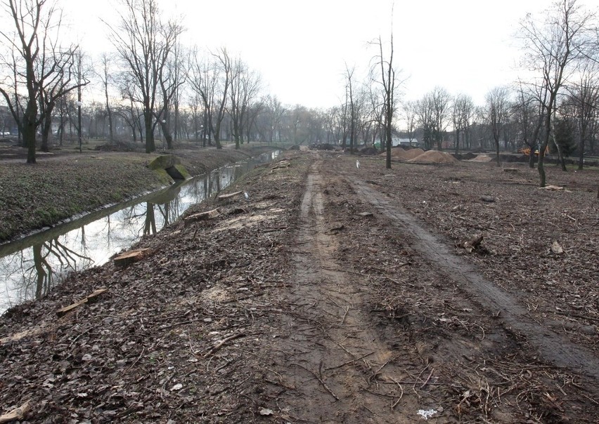 Stary Ogród w Radomiu po wycince. Zobacz jak to wygląda (zdjęcia)