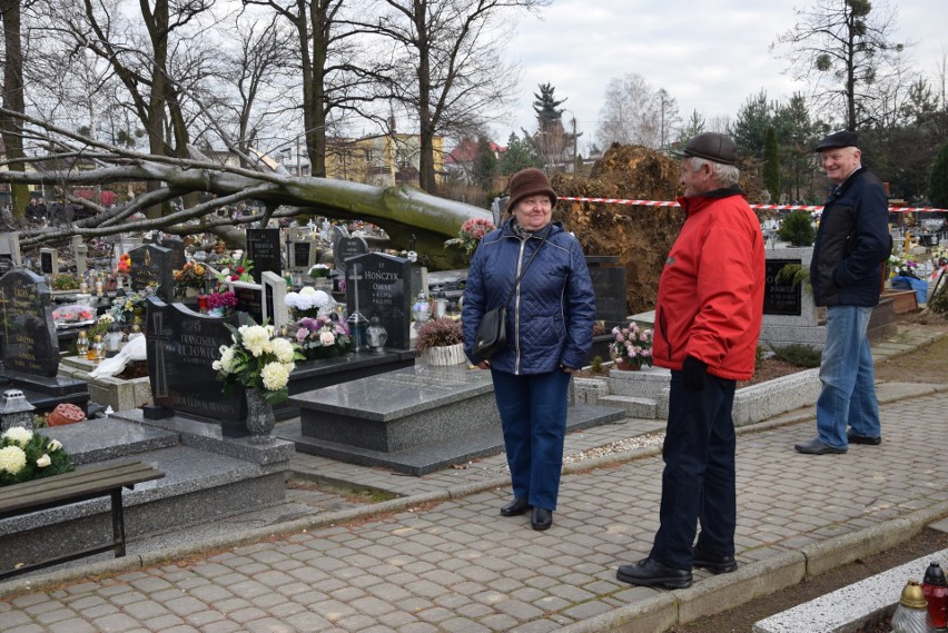 Zniszczone nagrobki na cmentarzu Wszystkich Świętych w...