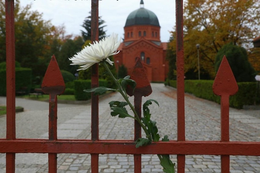 Wszystkich Świętych 2020. Wielkie zaskoczenie tuż przed 1 listopada