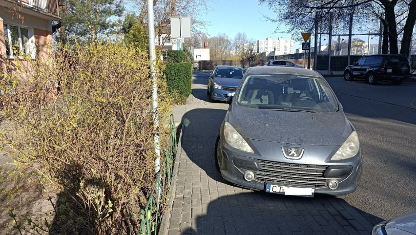 Mistrzowie parkowania w Toruniu. Nie uwierzysz, jak parkują tzw. "święte krowy". Zobacz zdjęcia!