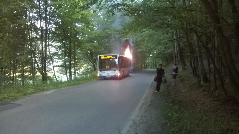 Pożar autobusu w Gdyni wybuchł 19 sierpnia.