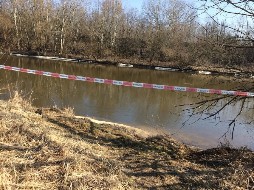 Martwego węża znaleziono w sobotę, ale zostanie stąd zabrany...