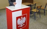 W niedzielę - eurowybory 2014. Jak głosować? (sonda)