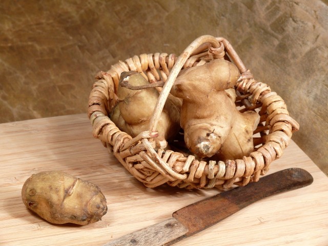 Bulwy topinamburu to smaczny produkt, z którego można przygotować chipsy lub aromatyczną i rozgrzewającą zupę.