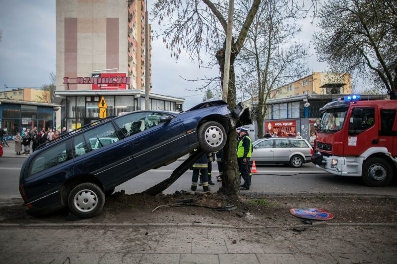 Samochód wpadł na drzewo - dosłownie! [FILM, zdjęcia]