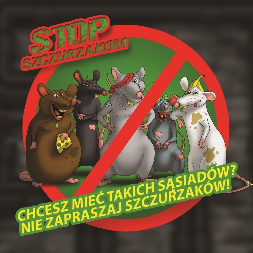 Sosnowiec walczy ze szczurami: Akcja "Gang Szczurzaków - STOP szczurom w kanalizacji miejskiej"