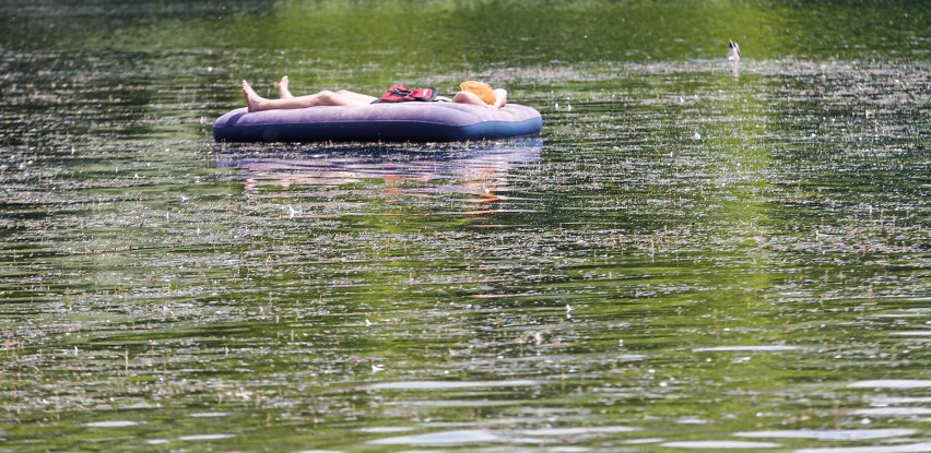 Upały 2019. Wysokie temperatury wrócą do Polski!