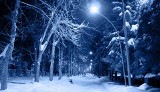 Meteorolodzy ostrzegają: ta noc będzie najchłodniejszą tej zimy na Podkarpaciu! 
