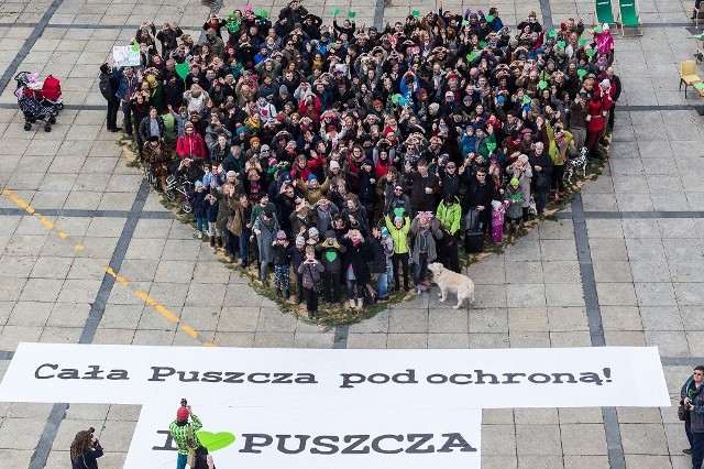 Na Placu Defilad w Warszawie powstała walentynka o wymiarach 12m x11m. Przedstawia ona serce symbolizujące puszczę, na którym zielonym igliwiem zaznaczono obszar obecnie objęty ochroną - czyli niewiele ponad 1/3 powierzchni puszczy.