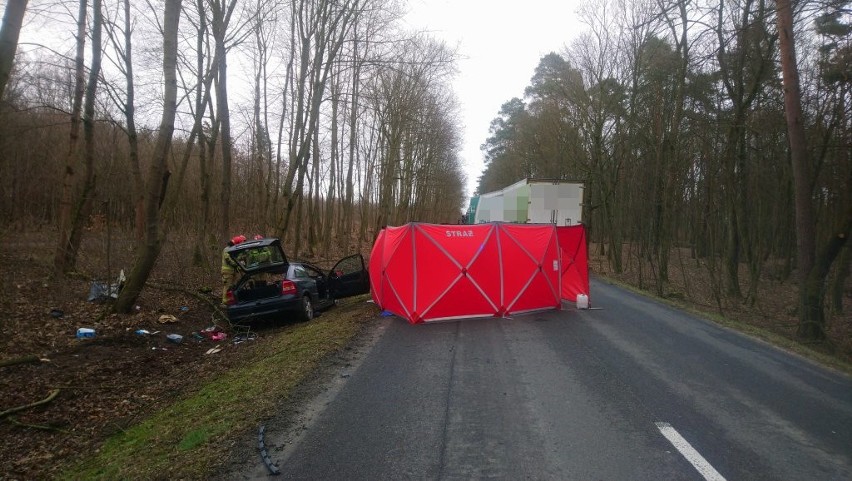 W Reptowie, między Ostromeckiem a Dąbrową Chełmińską, w...