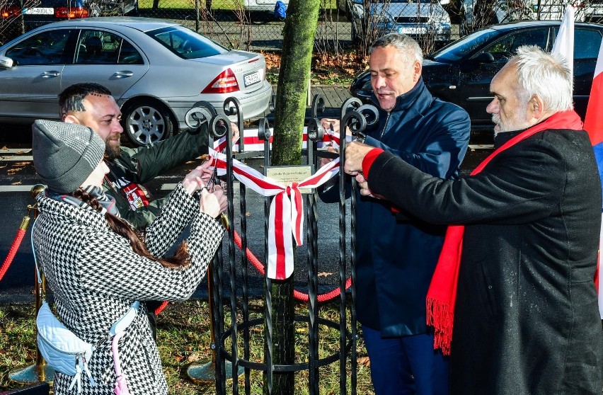 W czwartek, 21 października w alei oznaczono drzewo „Dla...