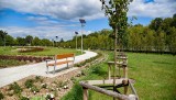 Poznań: Powstał nowy park miejski. Tym razem na Dębcu. W parku znajdziemy m. in. plac zabaw czy tor przeszkód dla psów [ZDJĘCIA, WIDEO]