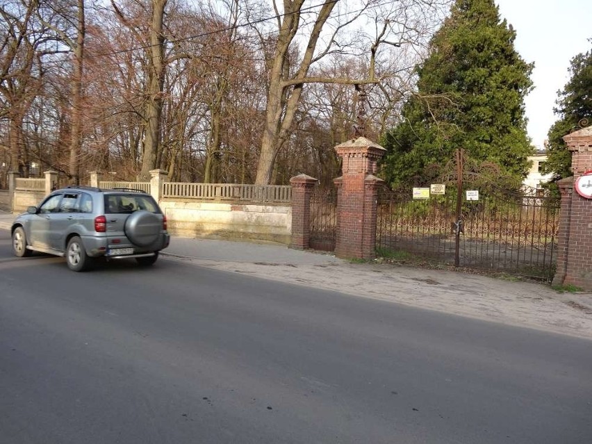 7 mln zł kary za wycięcie drzew wokół pałacu!