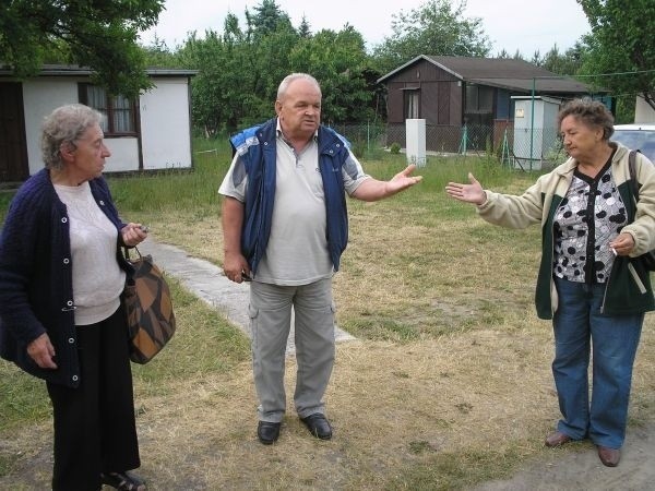 Krystyna Chojnacka (z lewej) twierdzi, że prezes PKS-u nie chce rozmawiać o żadnym kompromisie. Pan Zdzisław (pośrodku) gotów był płacić 500 zł rocznie za działkę, ale prezes nie chciał od niego indywidualnie  przyjąć pieniędzy. Pani Pola (z prawej)  obawia się, że dni ogródków są policzone.