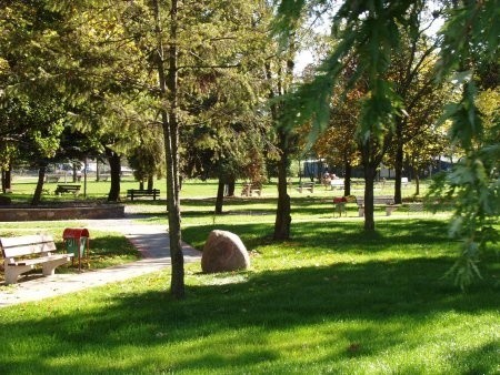 Park Miejski w Wysokim Mazowieckim.