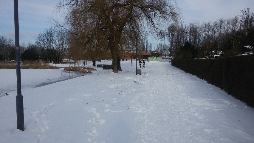 Świętochłowice: Zima zawitała nad staw Skałka [ZDJĘCIA]