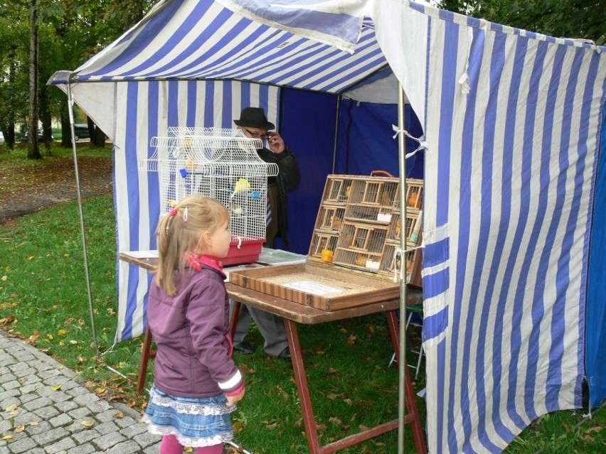 II Piknik Ekologiczny - Lataj jak ptak w Tarnobrze