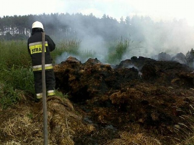 Kilkunastu strażaków zawodowych i ochotników z jednostek gasiło wczoraj płonącą stertę słomy koło wsi Krasne Dlusko koło Przytocznej.