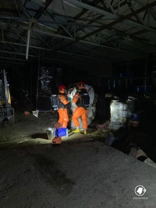 Składowisko odpadów w Brzęczkowicach odkryto na początku 2019 roku. W sprawie zostały zatrzymane wówczas trzy osoby.