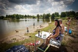 Wrocław: Będzie nowe kąpielisko. Bezpłatne, z grillowiskiem i ratownikami