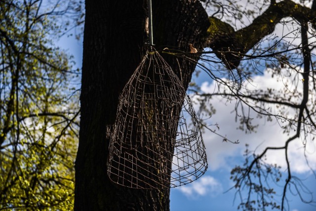 Park Wilsona: Powstała niezwykła instalacja Macieja Kuraka