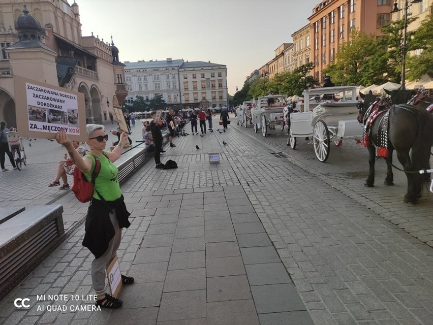 "Będziemy protestować, aż do zakończenia eksploatacji koni...