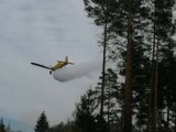 Spłonęło 2,5 hektara młodego lasu w Wyszynie Fałkowskiej. W akcji dwa dromadery gaśnicze