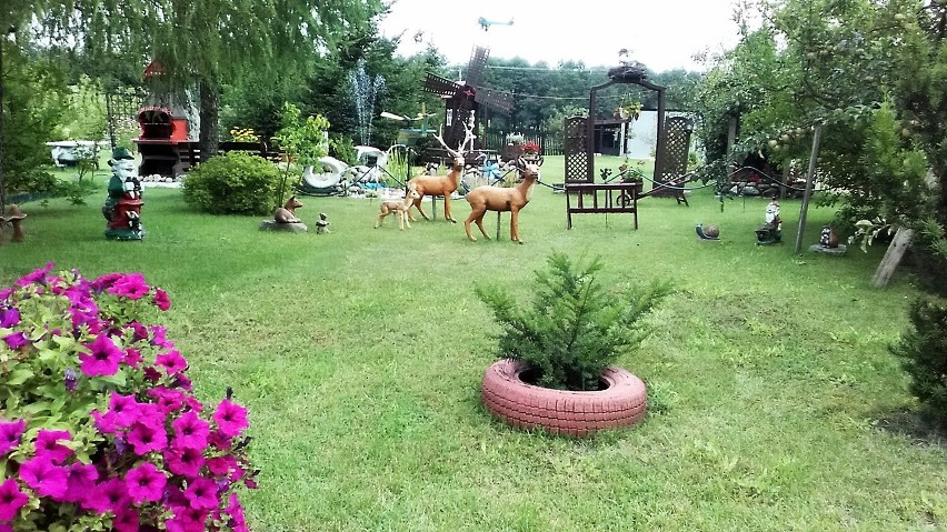To ogród p. Agnieszki i Bogusława Markowskich z Małkini...