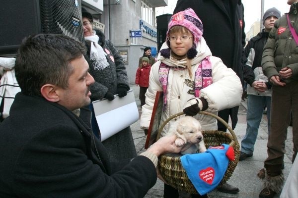 WOŚP w Kielcach cześc I