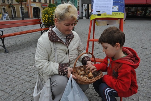 - Znam dobrze problemy osób cierpiących na raka - przyznaje Wioletta Leśniewska, która z synkiem kupuje cebulki pod ratuszem. - Moja mama przeszła aż trzy operacje i w końcu choroba zwyciężyła organizm.