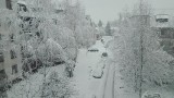 Zima 2021. Suwałki zasypane śniegiem i wciąż pada [Zdjęcia]