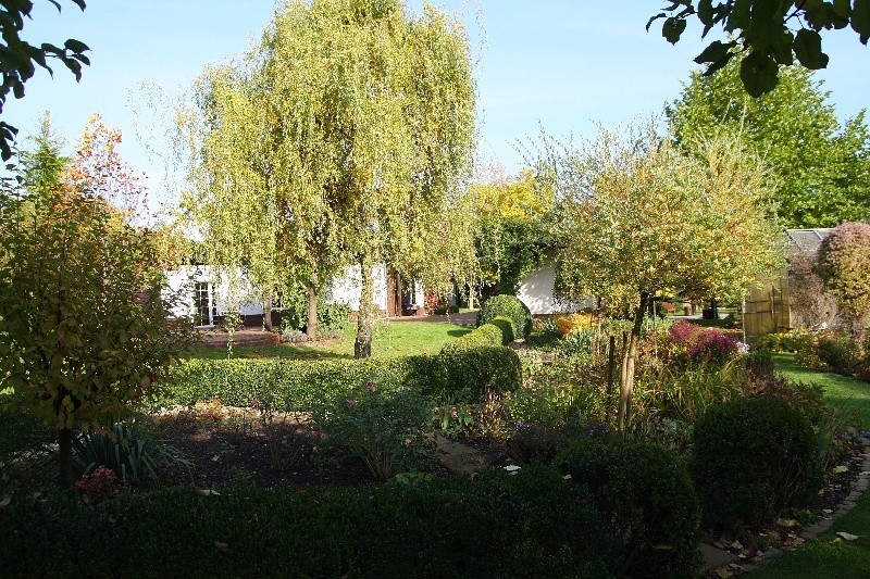 Ogród Joanny i Piotra Bratko przy ul. Krapkowickiej.